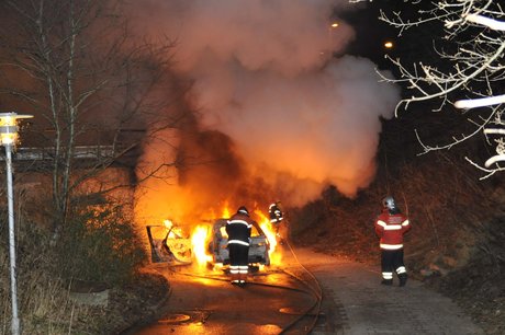 Brændene bil Lundtofte beskåret