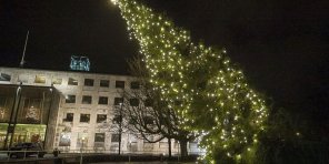 juletræ