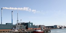 Forårsrengøring på havnen - 1