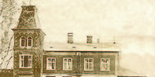 J.C. Teilmanns Vine - 1