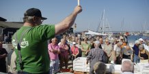 Alt gik i fisk - helt som planlagt - 1