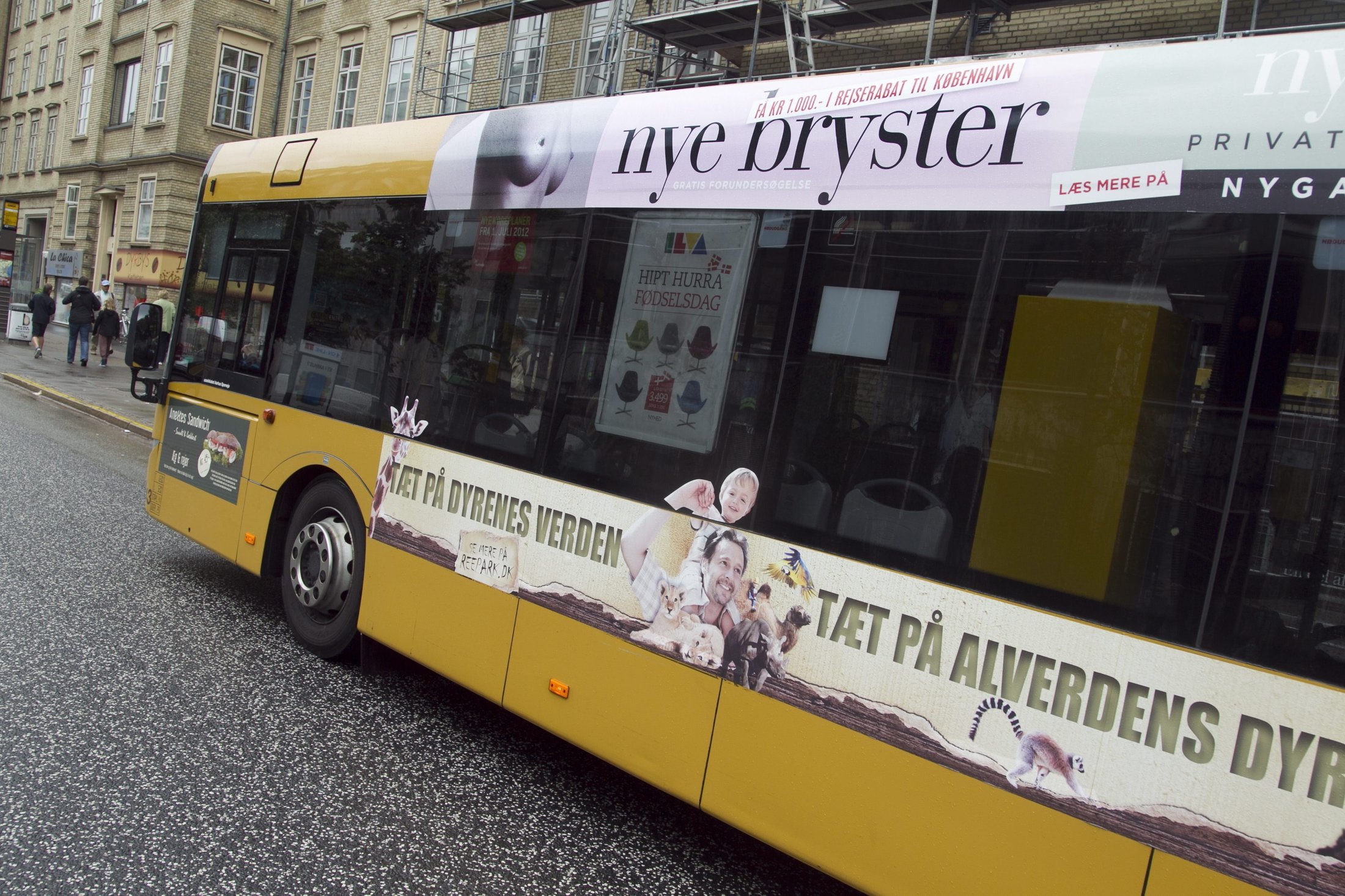 par have levende sex Odder par have levende sex Odder