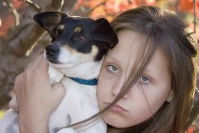 Jack russel