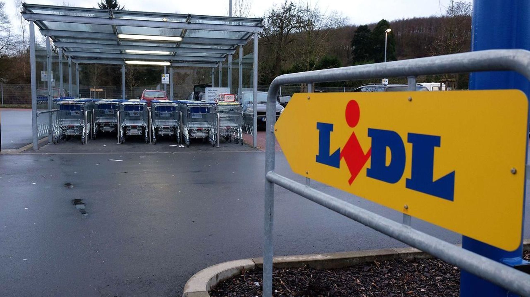 købe fisse aldi tyskland harrislee købe fisse aldi tyskland harrislee