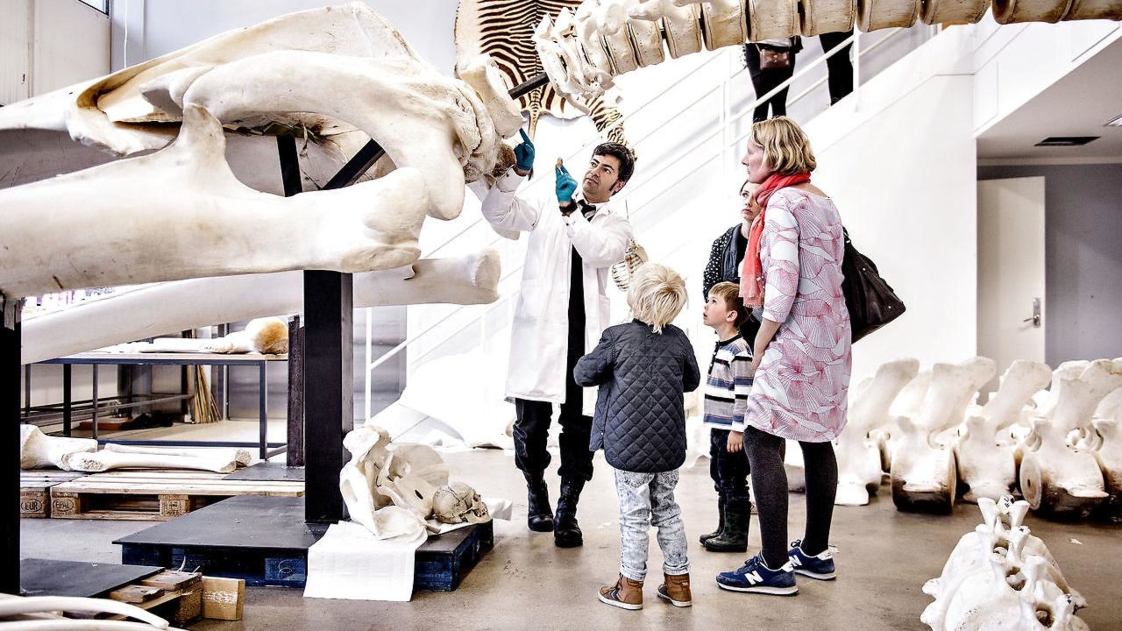 zoologiske museum København åbningstider dildo video zoologiske museum København åbningstider dildo video