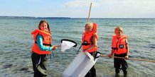 Gratis guidede kystvandringer - 1