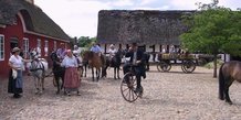 Sommer med uld på Hjerl Hede - 1