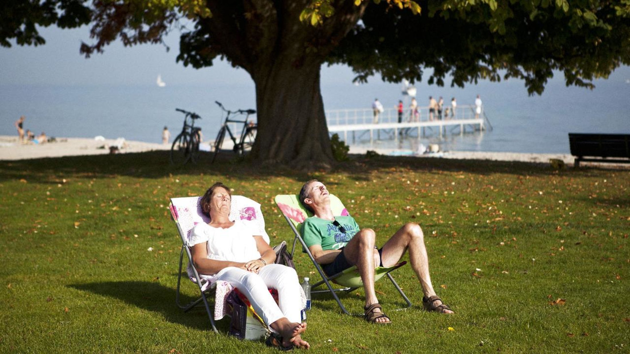 find en bolleven bøsser i danmark find en bolleven bøsser i danmark