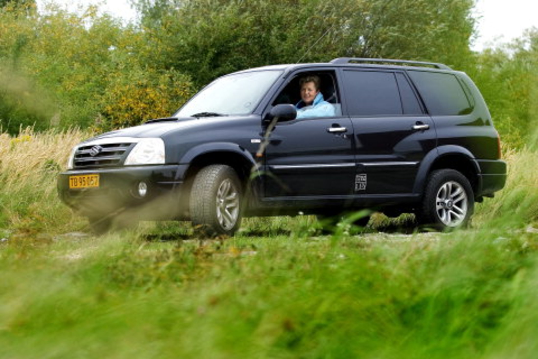 gul og grati Nordfyn gul og grati Nordfyn