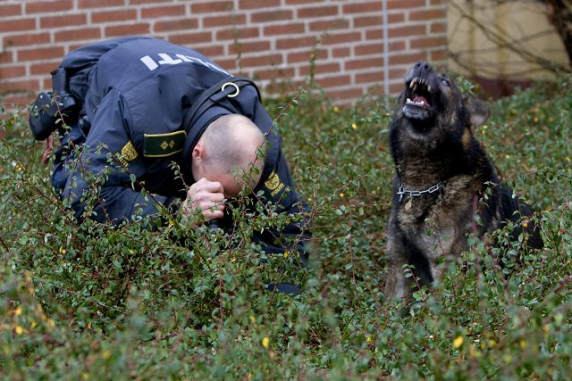 jeg søger sex Randers jeg søger sex Randers