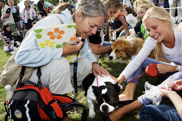 gratis sex med hunde