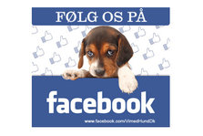 Stem på din favorit på Facebook