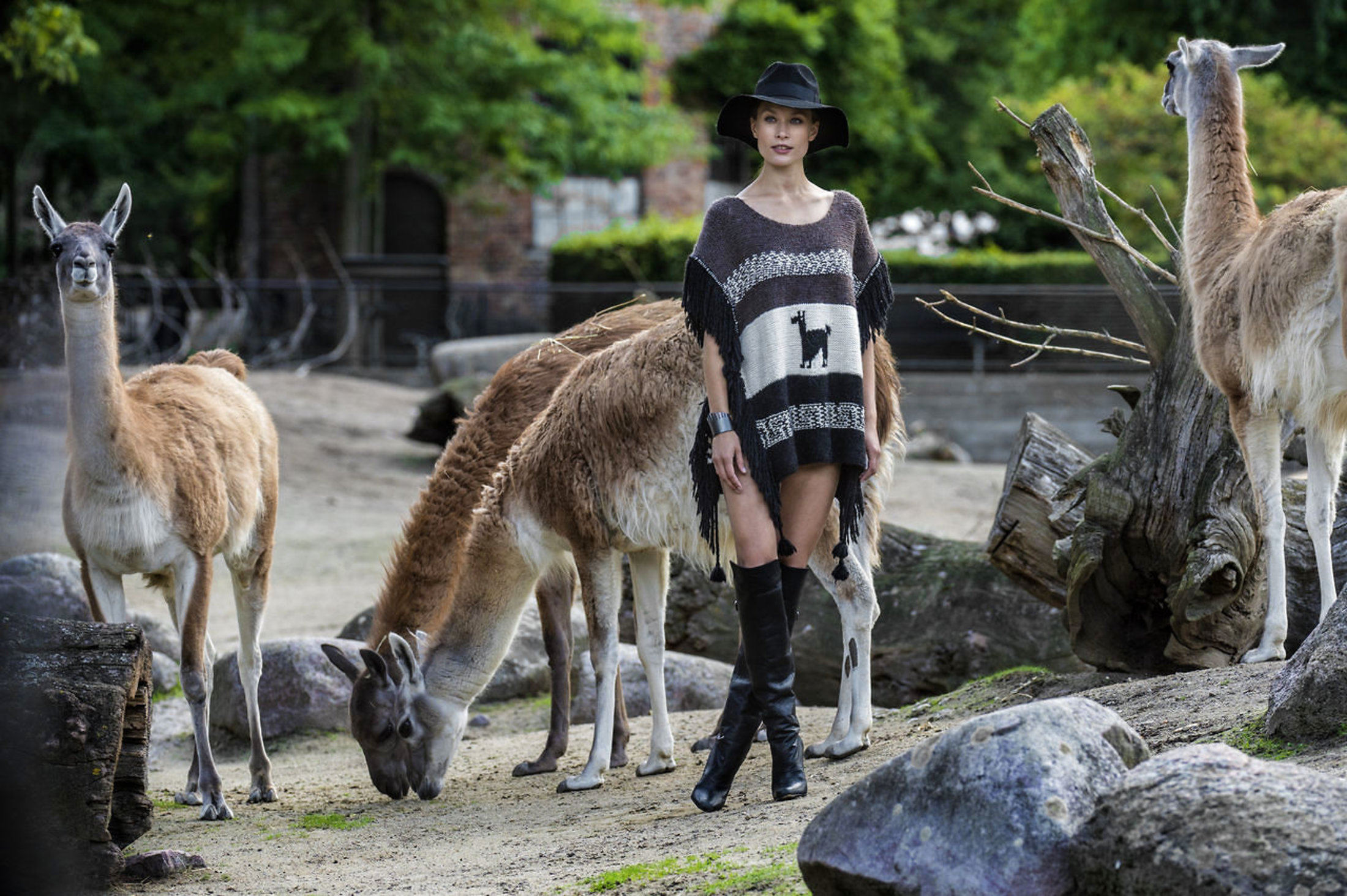 smide tøjet Danmark København zoo rabat smide tøjet Danmark København zoo rabat