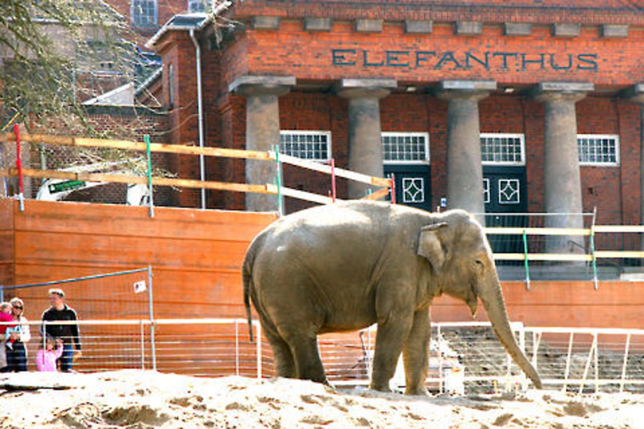 København zoo indgangen swingers guide København zoo indgangen swingers guide