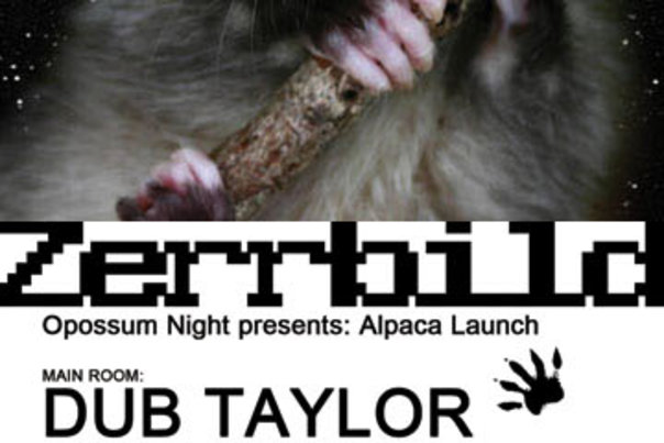 Opossum Night