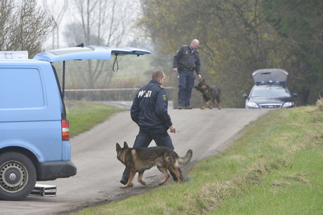 Hundepatrulje 2