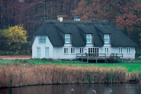Ålen 1