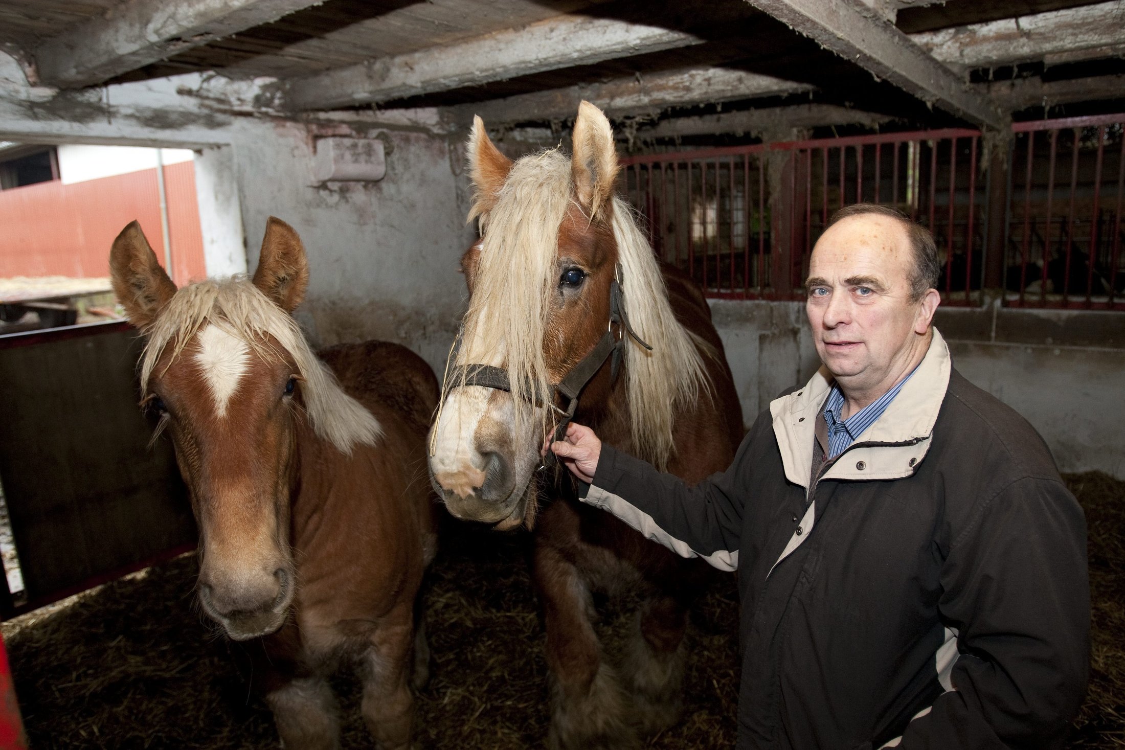 fuck fisse Danske handicaporganisationer bruger tjeneste fuck fisse Danske handicaporganisationer bruger tjeneste