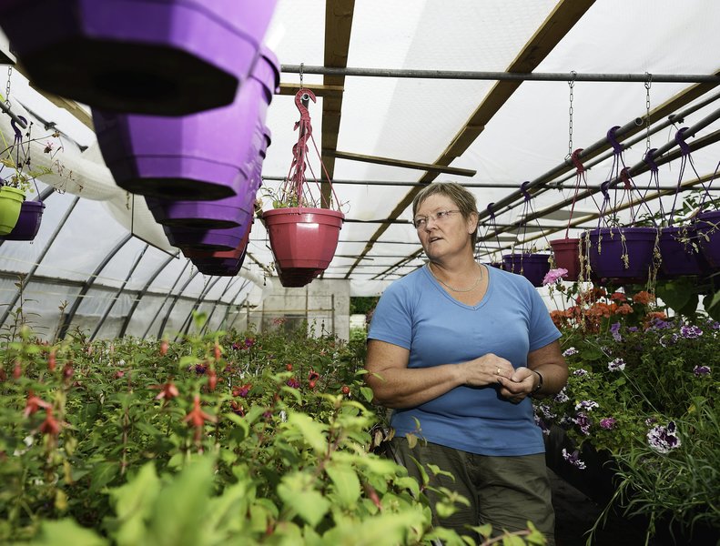 Flere verdensdele blomstrer i faster skjern tarm ...