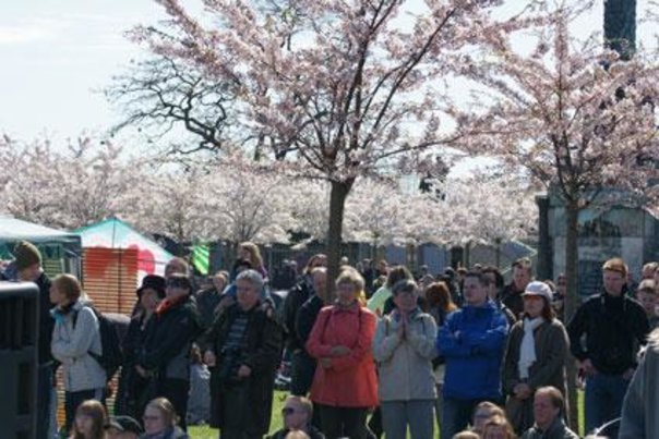 Japansk festival fejrer foråret