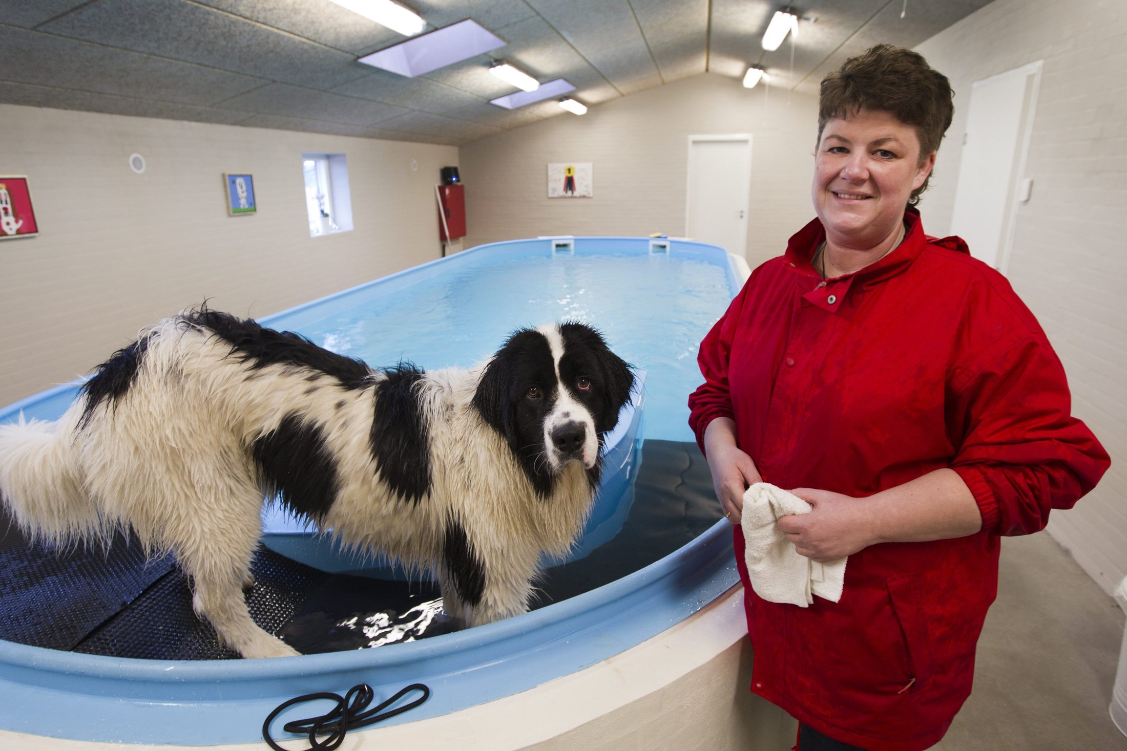 damer og sex pige har sex med hund damer og sex pige har sex med hund
