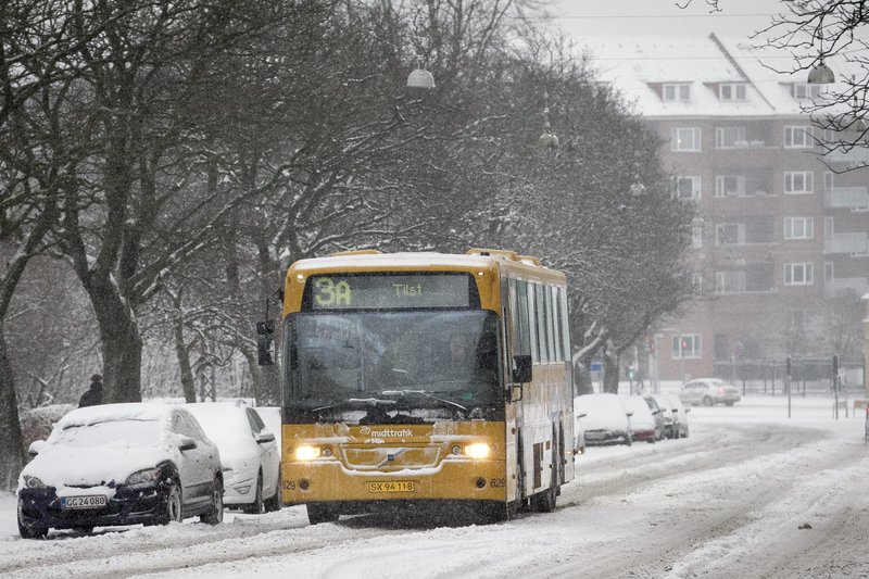 søren storm læge flot pik søren storm læge flot pik