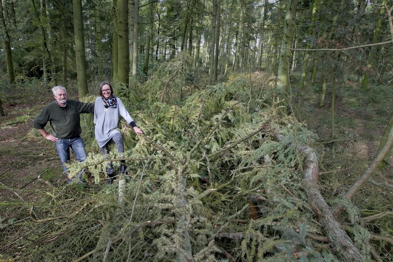 hjrring chat Derfor har vi etableret et samarbejde med gomore i fællesskab med frederikshavn, hjørring og aalborg kommuner vores mission er, at inspirere billister og. hjrring chat Derfor har vi etableret et samarbejde med gomore i fællesskab med frederikshavn, hjørring og aalborg kommuner vores mission er, at inspirere billister og.