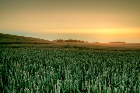 Guide til HDR-fotografering
