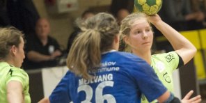 14 søm i kisten fra Tranborg - 1