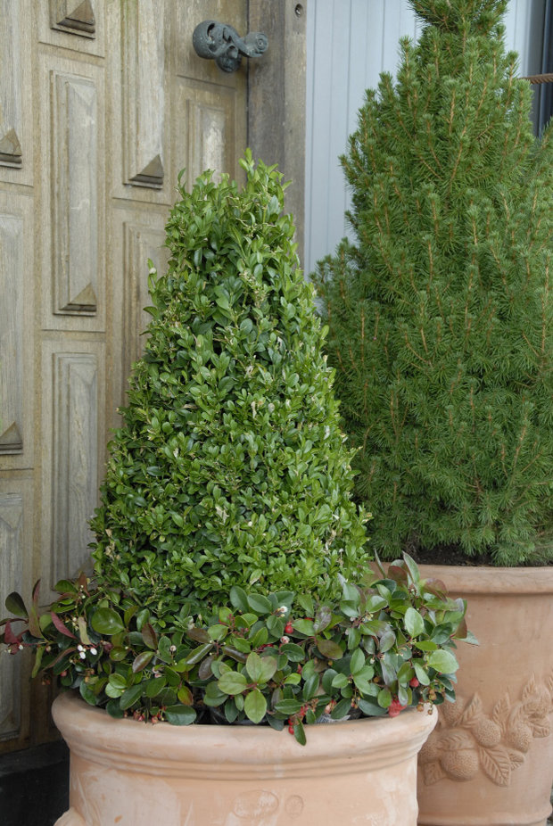 Potter til planter. beautiful store potter til planter with potter ... Planter i krukker og potter