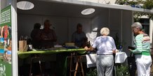 Bæredygtig jul i pop-upperne - 1